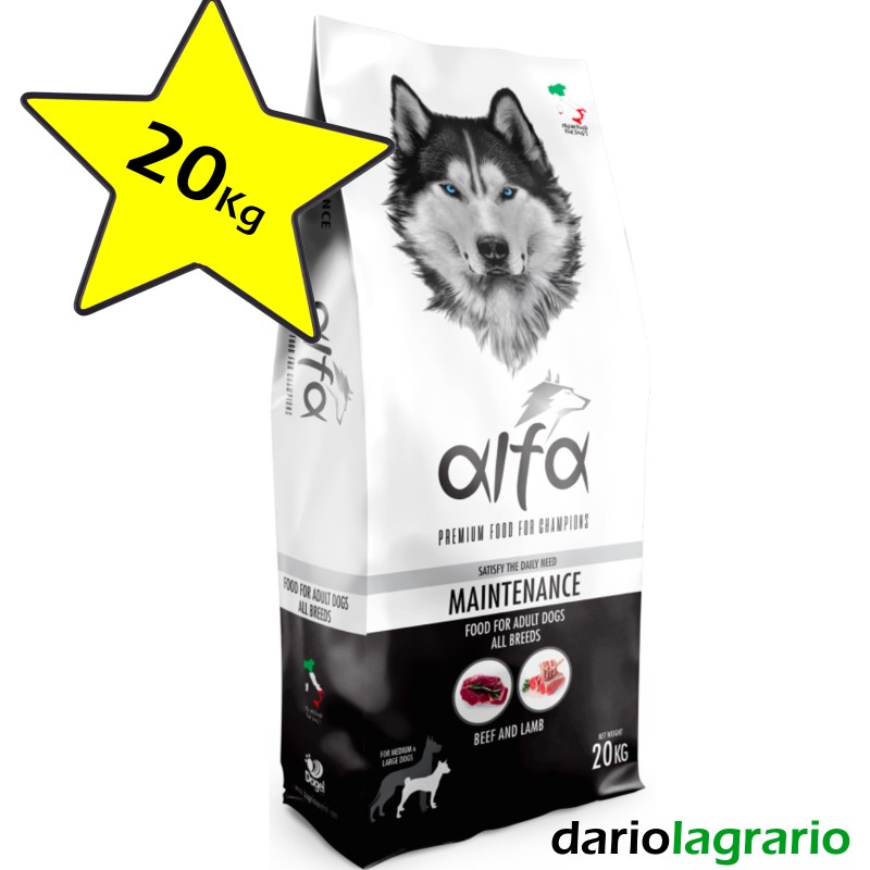 Alfa Mantenimento 20Kg Premium Adult da Dagel