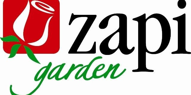 Zapi